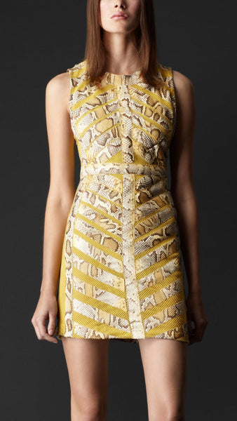 Python Ribbon Shift Dress